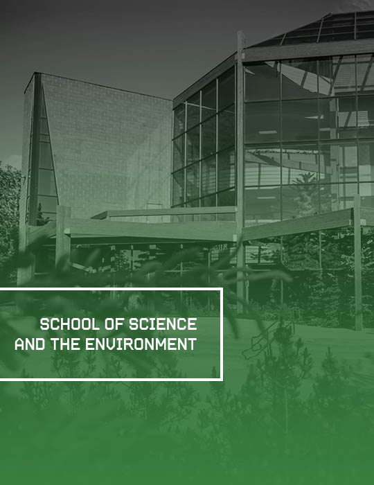 School of Science and the Environment