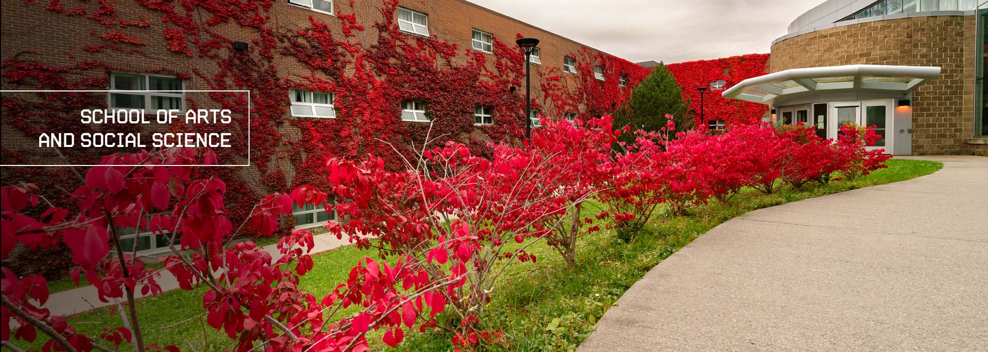 School of Arts and Social Science