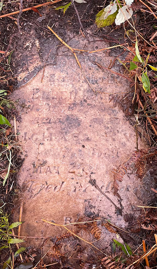 Headstone of Michael Ryan, b. 1820, d, 1897; uncovered by his great-great-granddaughter, Dr. Angela Robinson