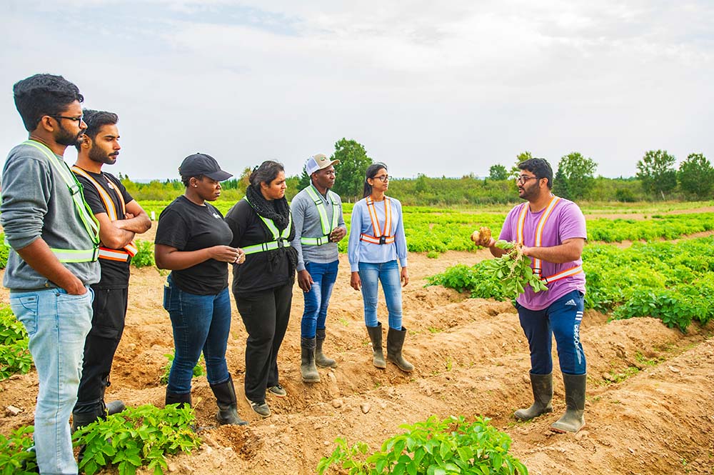 Abdullah Sami (M. Sc. BEAS) discusses impacts of nitrogen fertilizers on potato traits. L - R: Tharindu Kulasinghe, Muhammad Umar, Dr. Yeukai Katanda, Ramisha Azhar, Kelvin Geza, and Bhashitha Konara