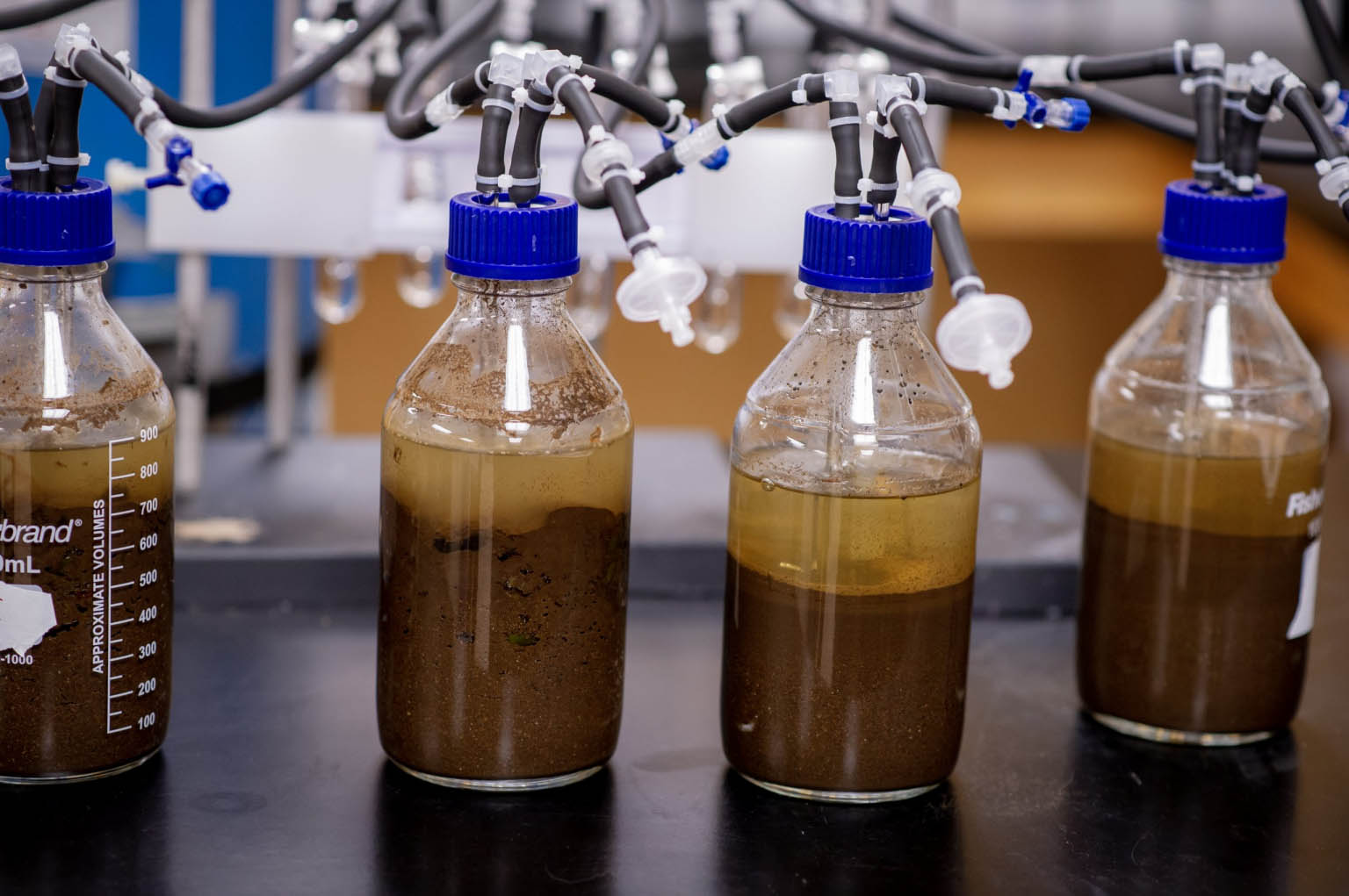 The two bioreactors on the left contain sugar kelp applied at traditional application rates and mixed with soil and water while the two bioreactors on the right serve as controls and contain only soil and water.